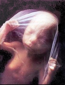 16 semanas – 4 meses